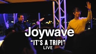 Joywave &quot;It&#39;s A Trip!&quot; - ALT947 Music Discovery Series