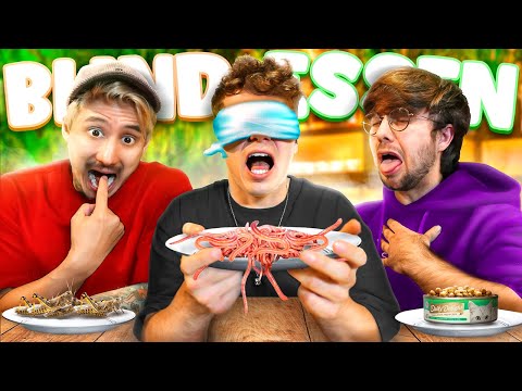 Wir ESSEN BLIND ekelige SACHEN... 🤮 mit Julien und Need2Know