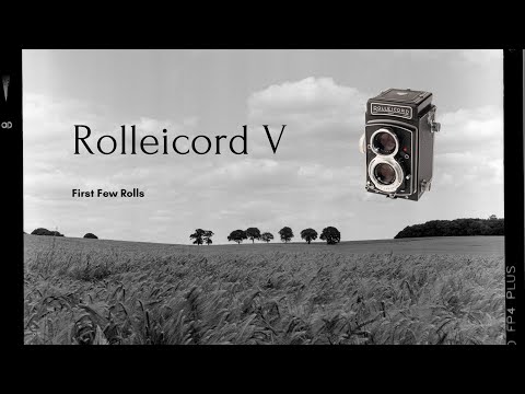 Rolleicord V - First Few Rolls