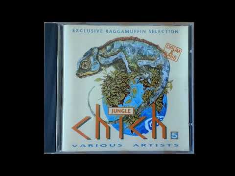 Trichelle Ft. General Levy - Touch Me (In The Morning) (Wild Animal Remix)