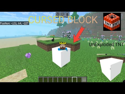 Survival Challenge: Collecting Cursed Blocks