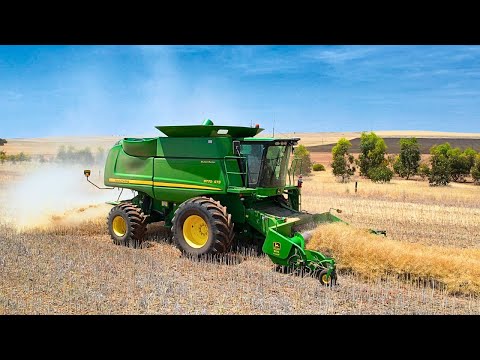 #6 Canola Harvest 2023 | It's Been A Learning Experience | Canola Harvest Australia