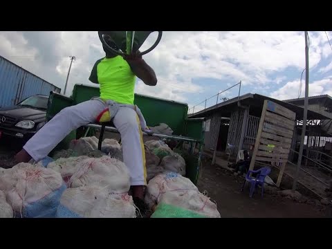 Pandemic blocks Congo's disabled couriers