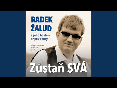 Rád bych si najal dům