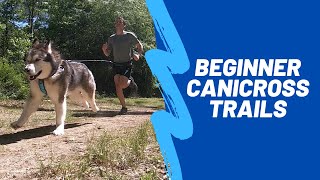 Choosing A Beginner Friendly Canicross Trail
