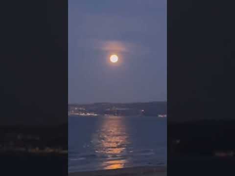 Why Is The Moon 🌙 Considered Feminine? #moon #moonphase #moonlight #menstruation #menstrualcycle