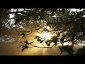Pulariyiloru Poonthennal Whatsapp Status Runway Film Dileep Suresh Peters