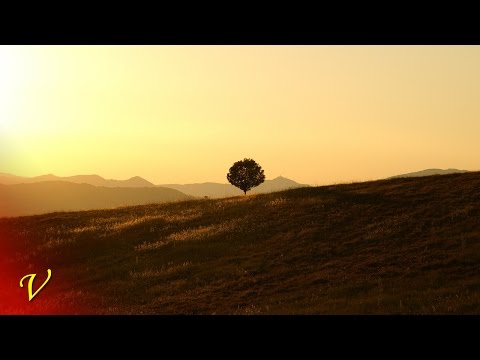 Rihanna Ft. Memphis Bleek - The One (Vetlemoe Remix)