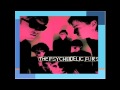 Psychedelic Furs - Fall
