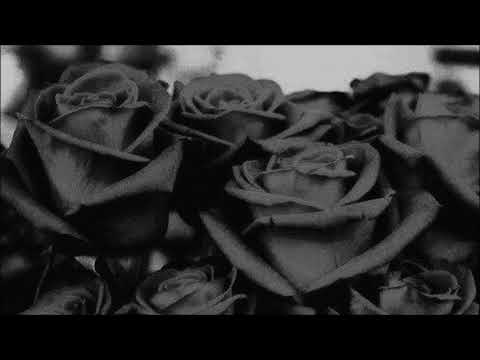 Marat Mode - Rose Period