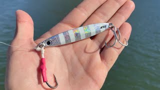 El Señuelo más Efectivo para Pescar de Orilla - JD Pesca