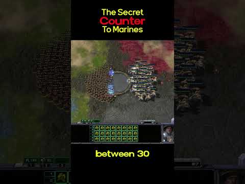 Do Marines Actually Have a Counter?