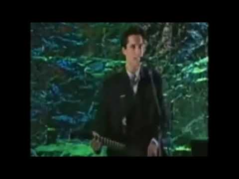 steve jansen's beautiful singing voice