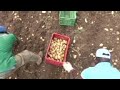 Migrant Survivors Harvest Fresh Produce In Farms