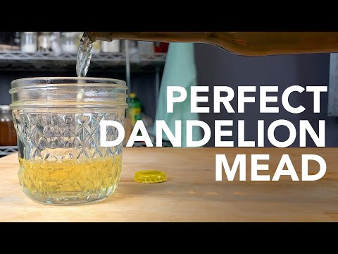 How to make Dandelion Mead | Easy honey wine recipe with springtime flowers and citrus fruits