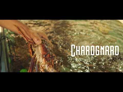 Lopez X Tito _Charognard [clip officiel by unik king prod] 2016