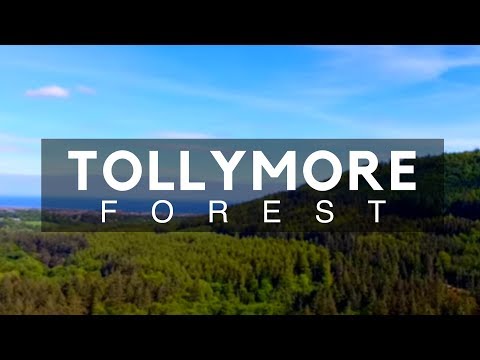 Tollymore Forest, Newcastle, County Down, Northern Ireland - Forest Parks in Northern Ireland #GOT Video