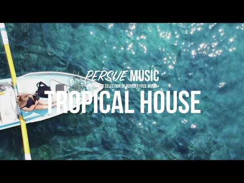 Tropical House - Shark