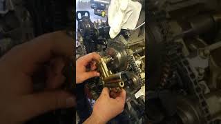 Lincoln MKT Timing Chain