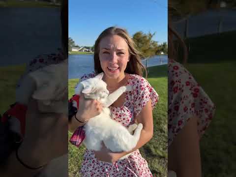 I Asked Beforehand 🤷🏼‍♀️🤷🏼‍♀️ But the Kitty Didn't Care! 🤣