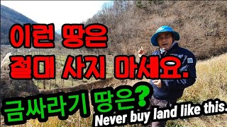 무조건 땅 사지 마세요! 좋은 땅 나쁜 땅이 있습니다. Never buy land like this.