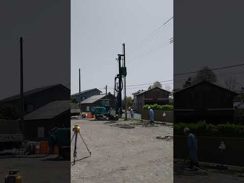 若い木を杭打ちするのは義務ですか？「はい」ですか、「いいえ」ですか？木を杭打ちする必要があるかどうかを評価するにはどうすればよいですか?  庭園