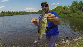Finesse Bass Fishing From Shore on Heavily Pressured Lakes (Drop Shot!)
