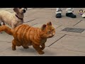 Garfield Comedy Scence Movie Clip Tamil Part 2 Tamil Dubbed Movie