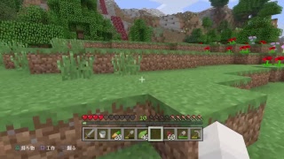 [マイクラ]ひまをもてあまry