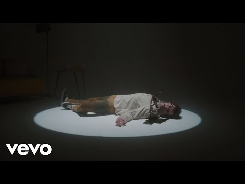 Willie Peyote - La colpa al vento