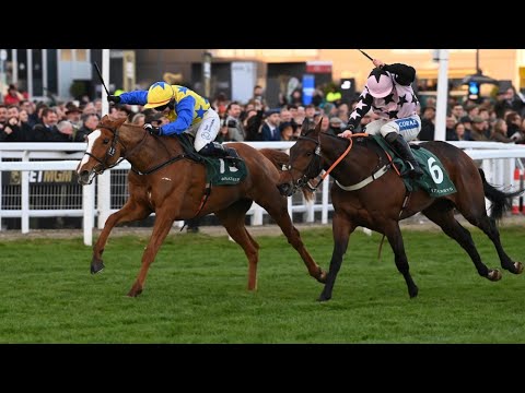 BAMBINO FEVER gives Jody Townend first Festival winner