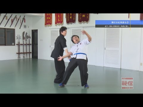 宮平保【相手に貼りつき、反撃の距離をなくす】粘勁の技　Real Kung-Fu in fight with Tamotsu Miyahira 2