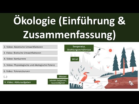 Ökologie [Einführung/Zusammenfassung] - Abitur [Biologie, Ökologie, Oberstufe] - [1/10]