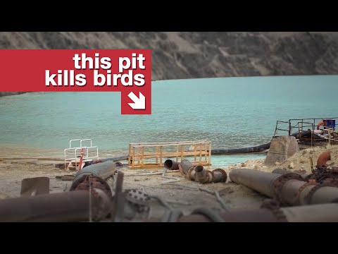 入場料3ドルのトキシックピット (The Toxic Pit With A $3 Admission Fee)