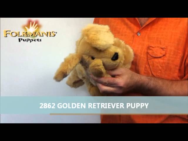 Video Teaser für 2862 Folkmanis GOLDEN RETRIEVER PUPPY