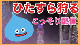 【ドラクエV】EM前の準備をひたすらやるだけ【初見実況】【スマホ版】【DragonQuest5】