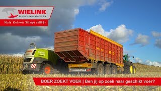 MKS (Maïs Kolven Silage) | Wielink Agrarisch Handelsbedrijf B.V.