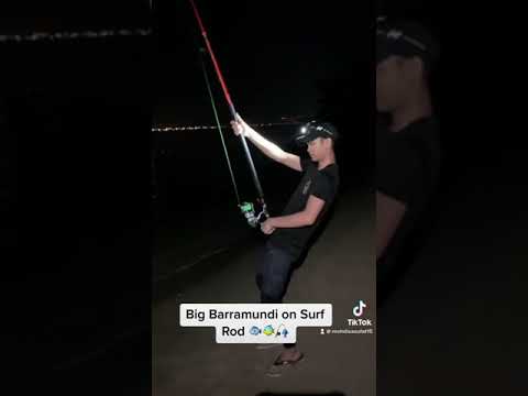 Catch Report 28th-29th April 2023.