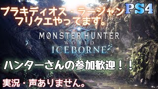 ブラキとラージャン！実況・声無しです。【PS4MHW:I】