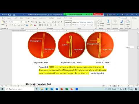 2023 02 14 18 33 01 lab   Microbiology