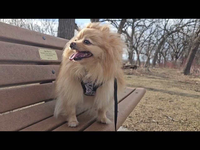Judge.me YouTube video placeholder
