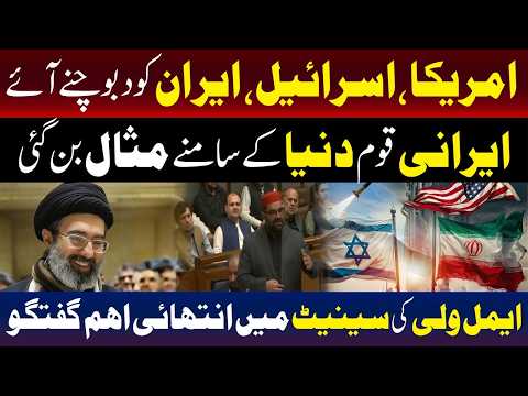 مشرق وسطیٰ کی صورتحال، ایمل ولی کا سینیٹ میں اظہار خیال