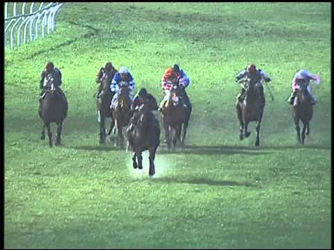 Galoppo 23/01/2015 - 4° corsa