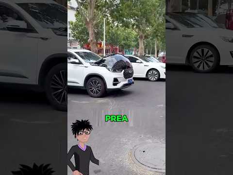 Nu spargeti aceasta bula de pe masini!