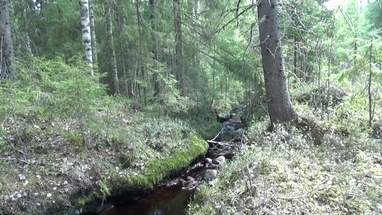 Haaste käräjille ojituksesta
