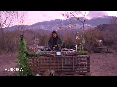 Ale Castro @ Aurora Home Festival 2020