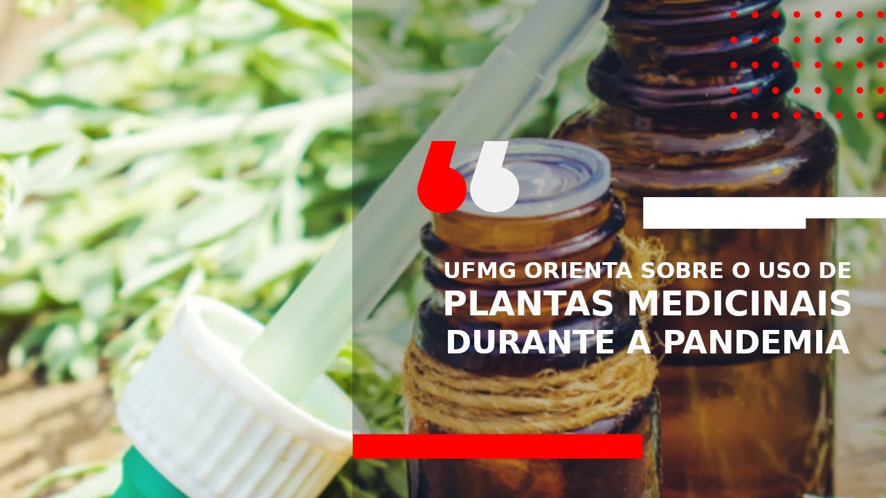 UFMG ORIENTA SOBRE O USO DE PLANTAS MEDICINAIS DURANTE A PANDEMIA  - Opinião Minas