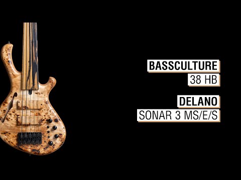 Bassculture 38 HB + Delano Sonar 3 MS/E/S - Mensinger Cazpar 5a Fretless Hollowbody 30"