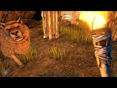 ARK  Survival Evolved Easy Taming of a 112 Direwolf