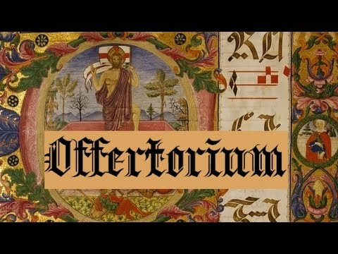 In te sperávi, Dómine - Dominica XIII Post Pentecosten (Offertorium)